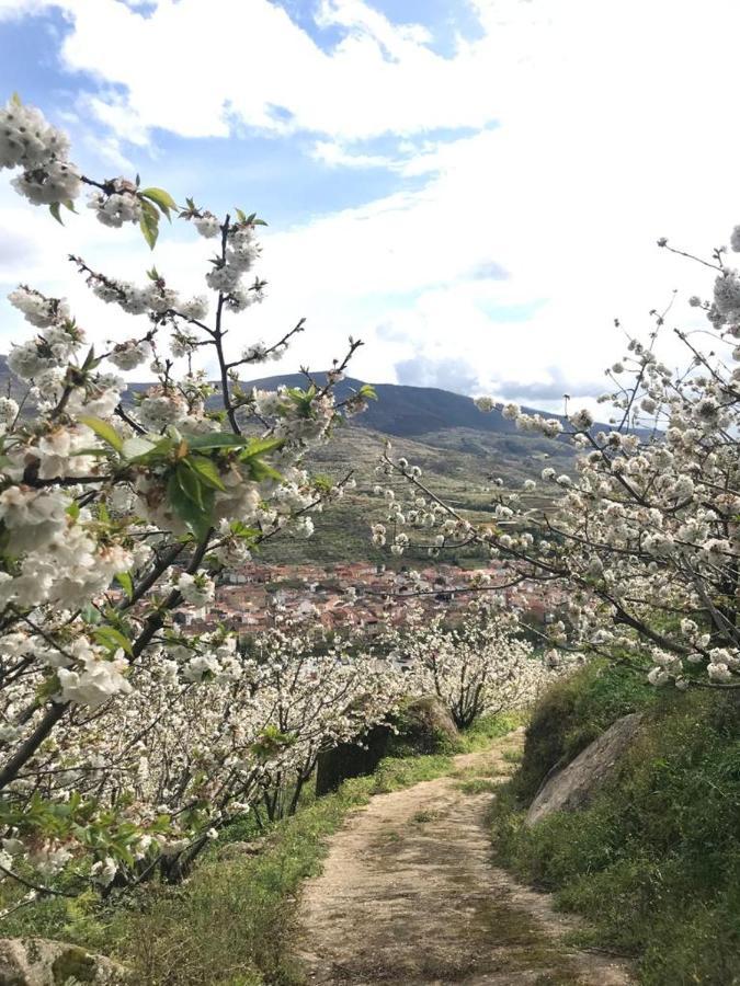 Casa Rural La Picotina Наваконсехо Екстериор снимка