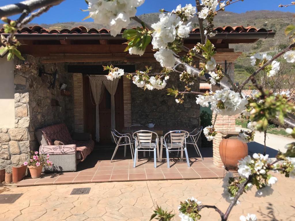 Casa Rural La Picotina Наваконсехо Екстериор снимка