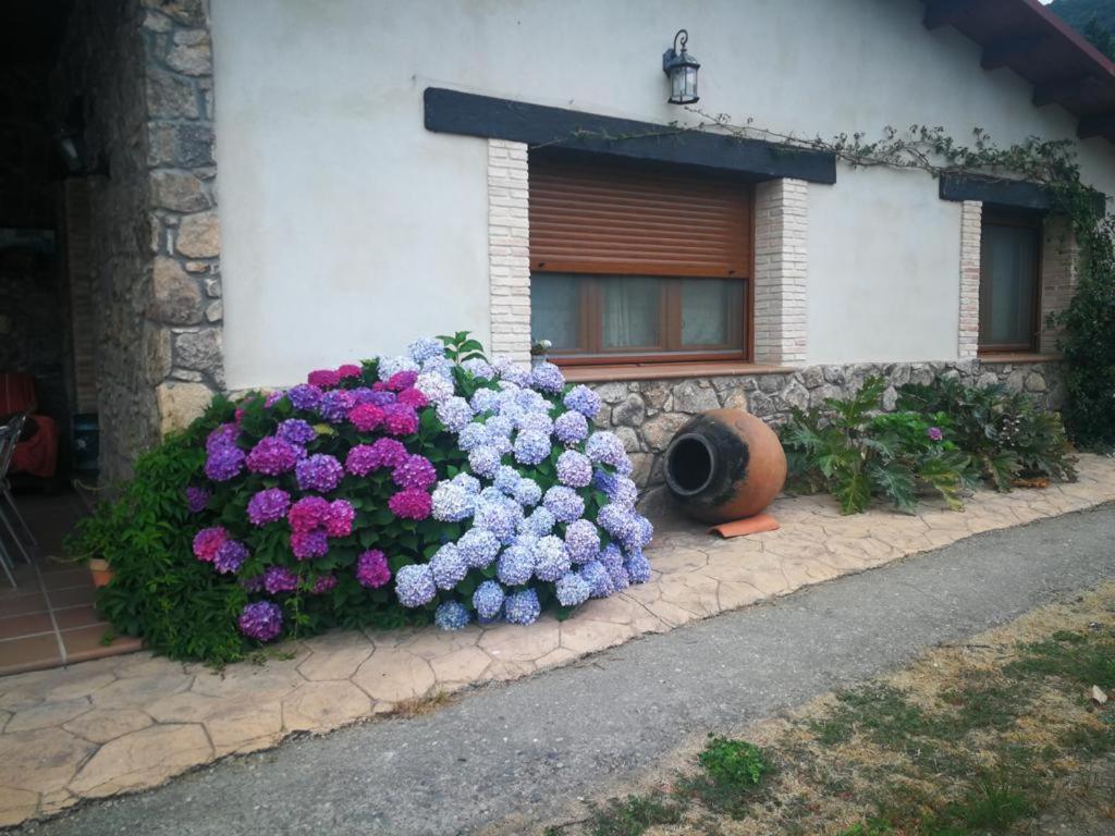 Casa Rural La Picotina Наваконсехо Екстериор снимка