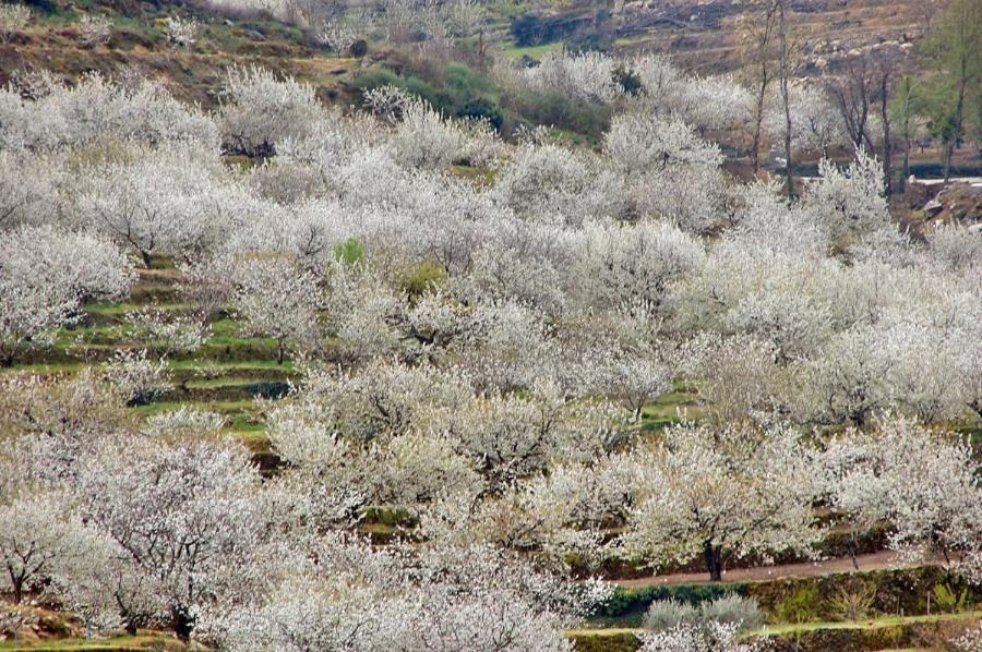 Casa Rural La Picotina Наваконсехо Екстериор снимка